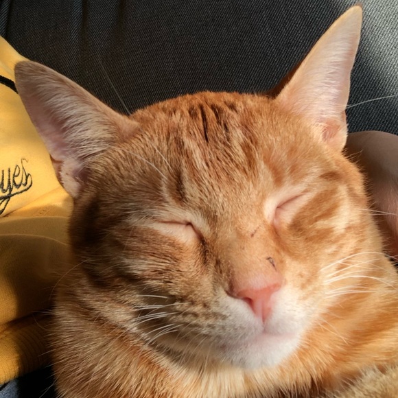 Meet your Posher, Jody - Picture 1 of 1